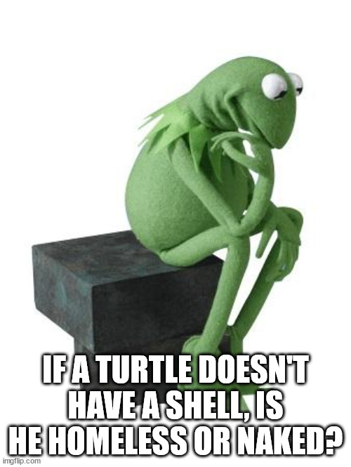 Kermit muses | IF A TURTLE DOESN'T HAVE A SHELL, IS HE HOMELESS OR NAKED? | image tagged in philosophy kermit | made w/ Imgflip meme maker