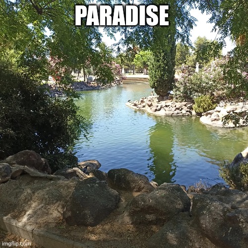 PARADISE | made w/ Imgflip meme maker