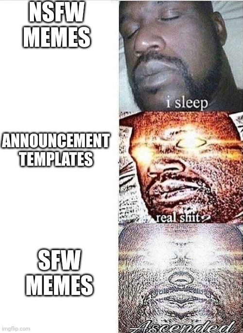 Imgflip Moderators In a Nutshell | NSFW MEMES; ANNOUNCEMENT TEMPLATES; SFW MEMES | image tagged in i sleep real shit ascended | made w/ Imgflip meme maker
