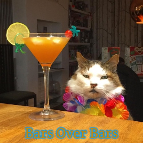 Cat cocktail | Bars Over Bars | image tagged in cat cocktail,bars over bars,slavic | made w/ Imgflip meme maker