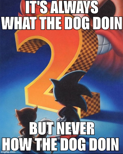 Sad | IT'S ALWAYS WHAT THE DOG DOIN; BUT NEVER HOW THE DOG DOIN | image tagged in sonic the hedgehog,dog | made w/ Imgflip meme maker