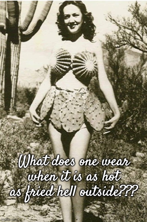 Good Question... |  What does one wear when it is as hot as fried hell outside??? | image tagged in wear,hot,fried hell | made w/ Imgflip meme maker
