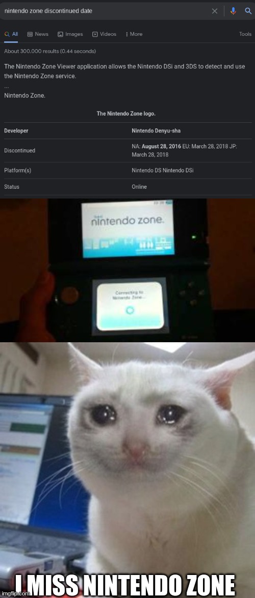 I MISS NINTENDO ZONE | image tagged in crying cat | made w/ Imgflip meme maker