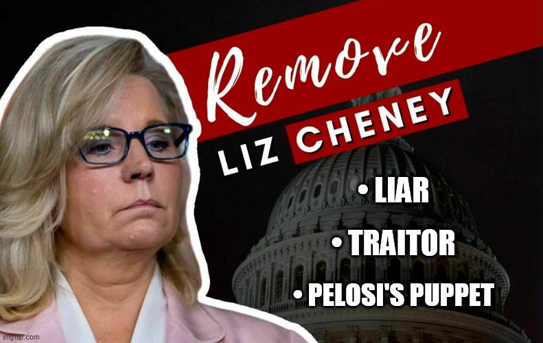 Traitor Liz Cheney |  • LIAR; • TRAITOR; • PELOSI'S PUPPET | image tagged in liz cheney,primary,traitor,j6,jan 6,january 6 | made w/ Imgflip meme maker