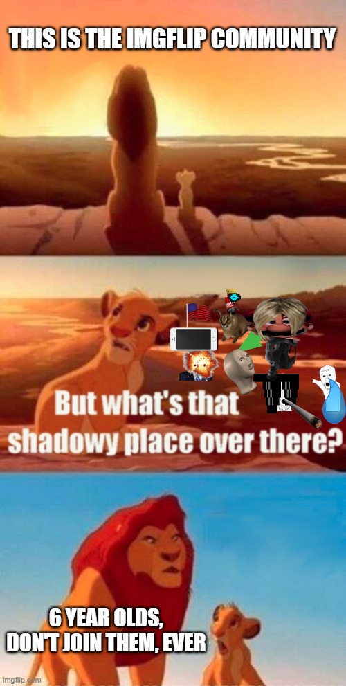 Simba Shadowy Place | THIS IS THE IMGFLIP COMMUNITY; 6 YEAR OLDS, DON'T JOIN THEM, EVER | image tagged in memes,simba shadowy place | made w/ Imgflip meme maker