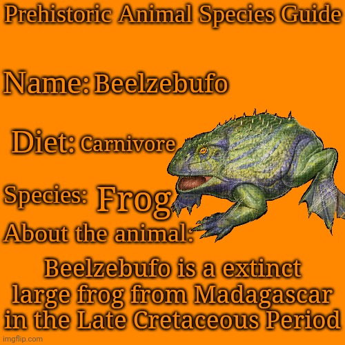 Frog | Beelzebufo; Carnivore; Frog; Beelzebufo is a extinct large frog from Madagascar in the Late Cretaceous Period | image tagged in prehistoric animal species guide,frog,animals | made w/ Imgflip meme maker