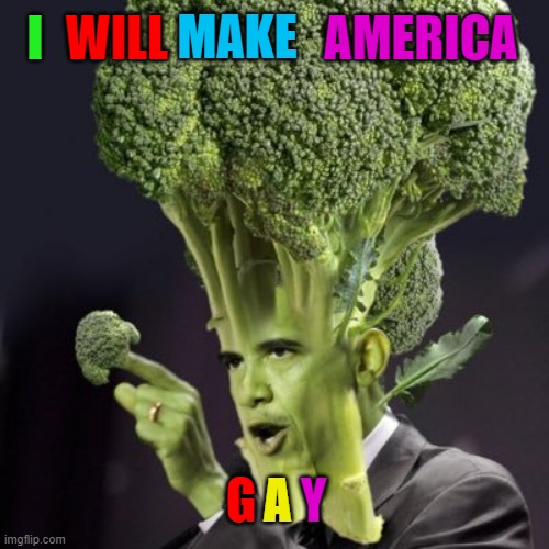 I WILL MAKE AMERICA G A Y | made w/ Imgflip meme maker