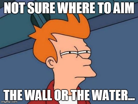 Futurama Fry | NOT SURE WHERE TO AIM THE WALL OR THE WATER... | image tagged in memes,futurama fry,AdviceAnimals | made w/ Imgflip meme maker