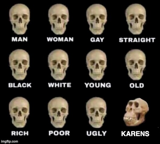 Karens suck. | KARENS | image tagged in karens,idiots,memes,yes | made w/ Imgflip meme maker