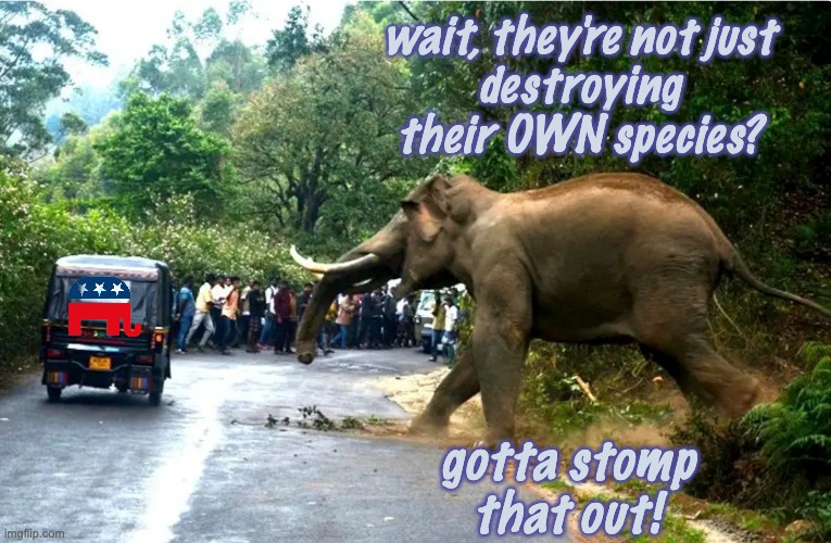 wait, they're not just
destroying their OWN species? gotta stomp
that out! | made w/ Imgflip meme maker