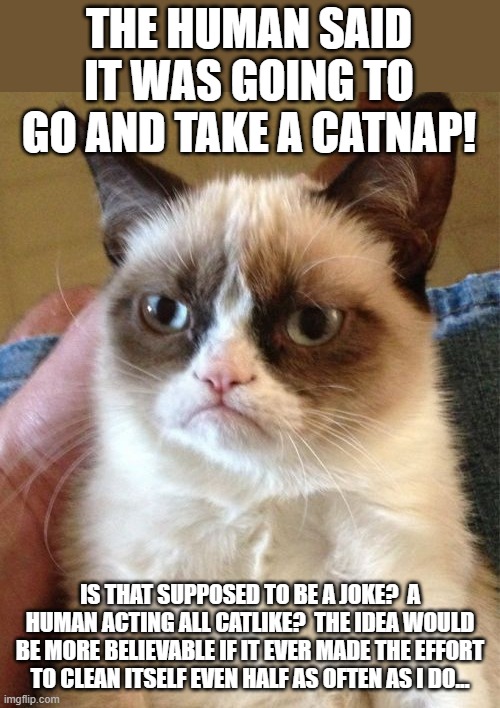 Cat's Response To Human Behavior |  THE HUMAN SAID IT WAS GOING TO GO AND TAKE A CATNAP! IS THAT SUPPOSED TO BE A JOKE?  A HUMAN ACTING ALL CATLIKE?  THE IDEA WOULD BE MORE BELIEVABLE IF IT EVER MADE THE EFFORT TO CLEAN ITSELF EVEN HALF AS OFTEN AS I DO... | image tagged in memes,grumpy cat,humor,funny cat memes,cats,funny memes | made w/ Imgflip meme maker
