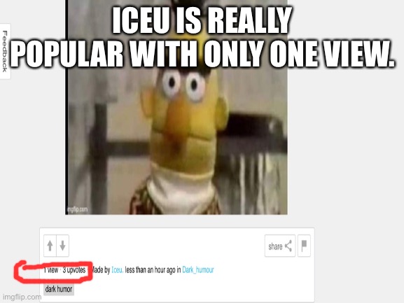 Damn iceu | ICEU IS REALLY POPULAR WITH ONLY ONE VIEW. | image tagged in damn | made w/ Imgflip meme maker