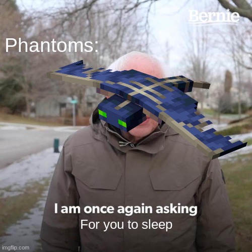 Please Sleep | Phantoms:; For you to sleep | image tagged in memes,bernie i am once again asking for your support | made w/ Imgflip meme maker