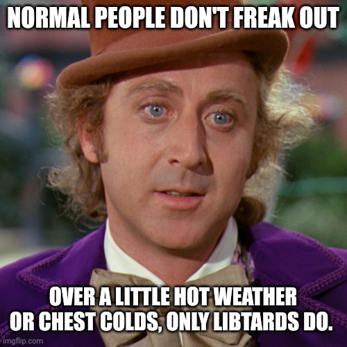 Only libtards do. | NORMAL PEOPLE DON'T FREAK OUT; OVER A LITTLE HOT WEATHER OR CHEST COLDS, ONLY LIBTARDS DO. | image tagged in memes | made w/ Imgflip meme maker