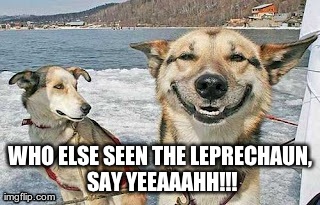 Original Stoner Dog Meme | WHO ELSE SEEN THE LEPRECHAUN, SAY YEEAAAHH!!! | image tagged in memes,original stoner dog | made w/ Imgflip meme maker