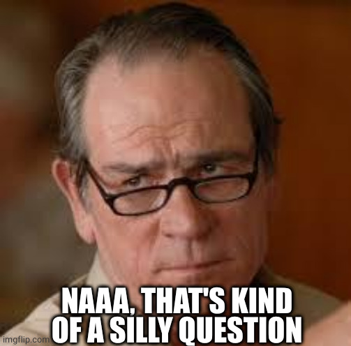 my face when someone asks a stupid question | NAAA, THAT'S KIND OF A SILLY QUESTION | image tagged in my face when someone asks a stupid question | made w/ Imgflip meme maker