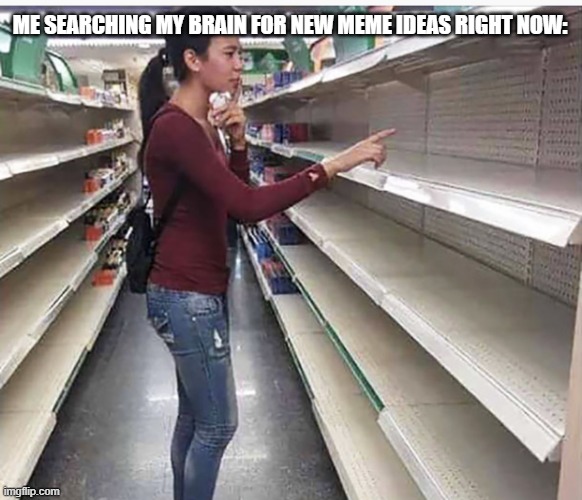 I'm really running low on meme ideas right now. | ME SEARCHING MY BRAIN FOR NEW MEME IDEAS RIGHT NOW: | image tagged in searching empty shelves,memes,relatable | made w/ Imgflip meme maker