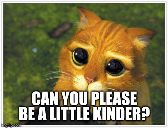 Shrek Cat Meme | CAN YOU PLEASE BE A LITTLE KINDER? | image tagged in memes,shrek cat | made w/ Imgflip meme maker