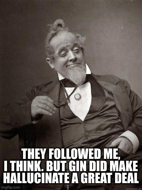 1889 Guy | THEY FOLLOWED ME, I THINK. BUT GIN DID MAKE HALLUCINATE A GREAT DEAL | image tagged in 1889 guy | made w/ Imgflip meme maker