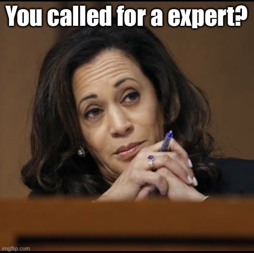 Kamala Harris  | You called for a expert? | image tagged in kamala harris | made w/ Imgflip meme maker