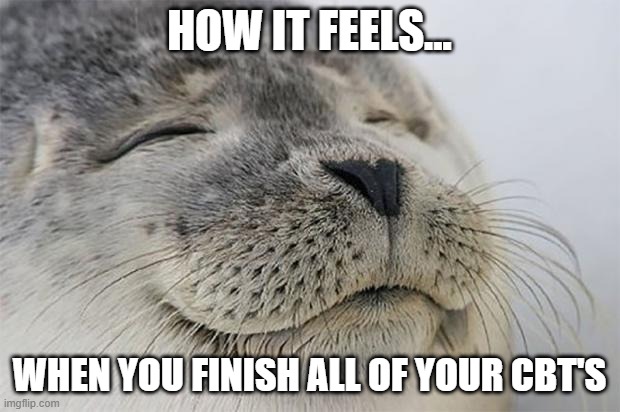 Satisfied Seal | HOW IT FEELS... WHEN YOU FINISH ALL OF YOUR CBT'S | image tagged in memes,satisfied seal | made w/ Imgflip meme maker