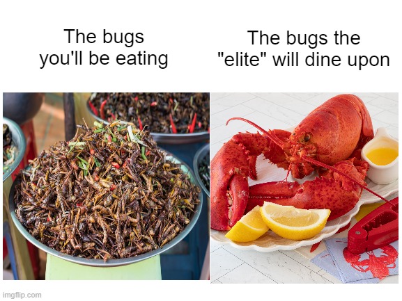 We're all in this together | The bugs the "elite" will dine upon; The bugs you'll be eating | made w/ Imgflip meme maker