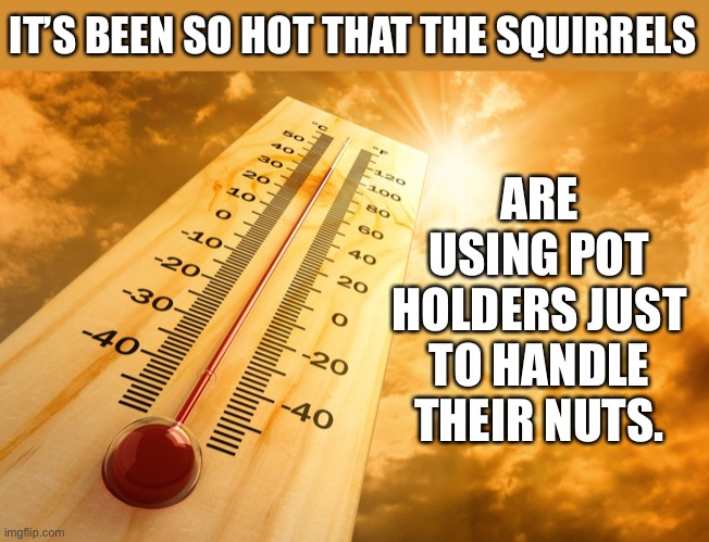 Hot | IT’S BEEN SO HOT THAT THE SQUIRRELS; ARE USING POT HOLDERS JUST TO HANDLE THEIR NUTS. | image tagged in hot outside | made w/ Imgflip meme maker