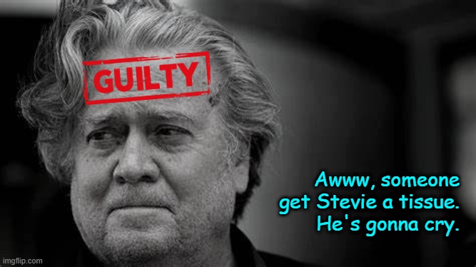 Poor Widdle Stevie | Awww, someone get Stevie a tissue.  He's gonna cry. | image tagged in steve bannon,scumbag steve,bannon,traitor | made w/ Imgflip meme maker