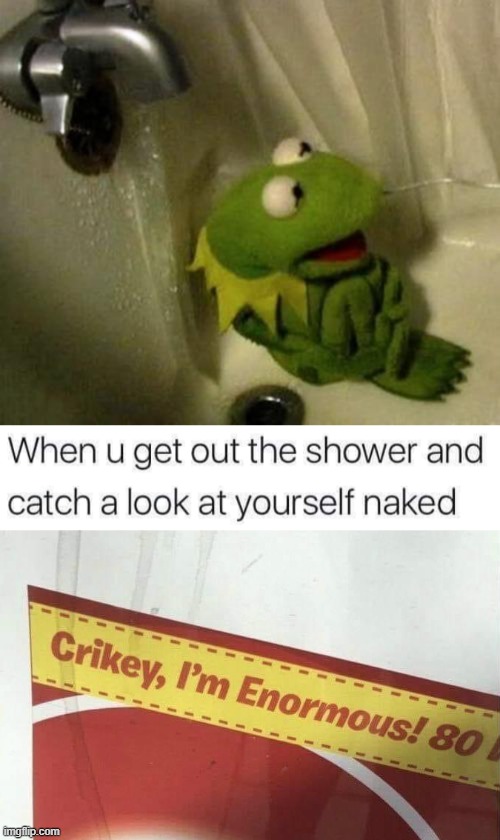 image tagged in kermit on shower | made w/ Imgflip meme maker