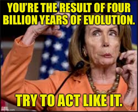 Nancy Pelosi and Evolution | YOU’RE THE RESULT OF FOUR BILLION YEARS OF EVOLUTION. TRY TO ACT LIKE IT. | image tagged in crazy nancy pelosi,four billion years,of evolution,act like it,political meme | made w/ Imgflip meme maker