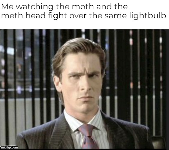 Me watching the moth and the meth head fight over the same lightbulb | image tagged in disgusted patrick bateman | made w/ Imgflip meme maker