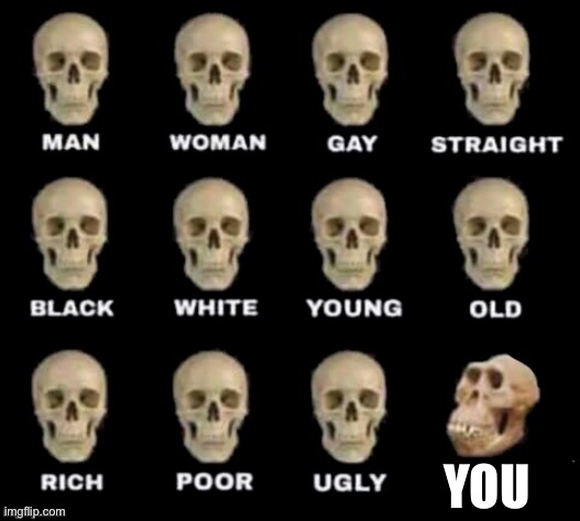 idiot skull | YOU | image tagged in idiot skull | made w/ Imgflip meme maker
