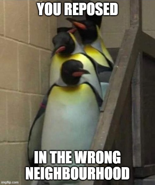 YOU REPOSED; IN THE WRONG NEIGHBOURHOOD | image tagged in repost,penguin gang | made w/ Imgflip meme maker