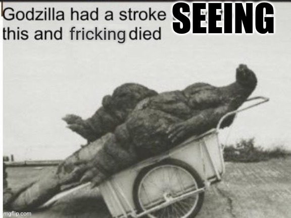 Godzilla had a stroke trying to read this and fricking died | SEEING | image tagged in godzilla had a stroke trying to read this and fricking died | made w/ Imgflip meme maker