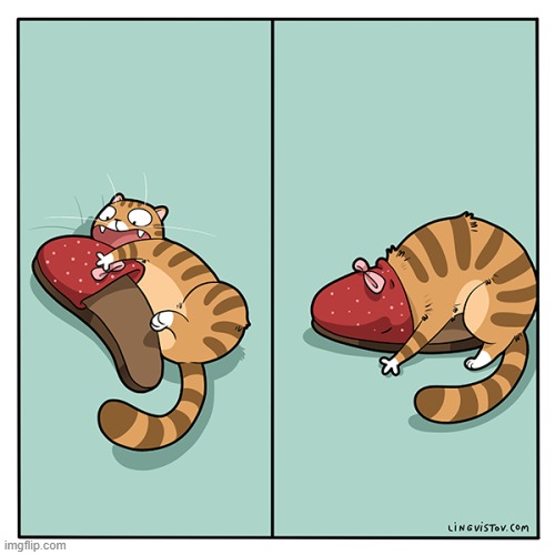 A Cat's Way Of Thinking | image tagged in memes,comics,cats,play,slippers,sleeping cat | made w/ Imgflip meme maker