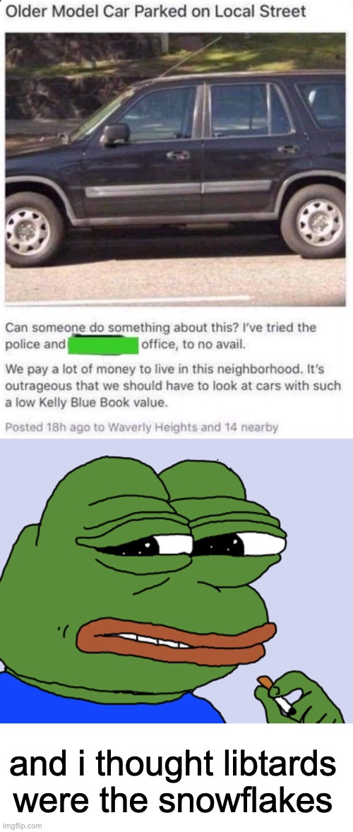 funny to me since i drive a 1999 honda crv: suburbanite in "nice" neighborhood complains about old car | and i thought libtards were the snowflakes | image tagged in pepe cringe | made w/ Imgflip meme maker