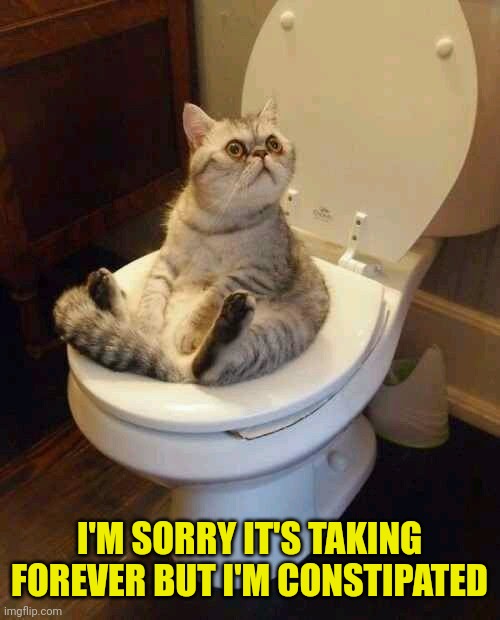 Toilet cat | I'M SORRY IT'S TAKING FOREVER BUT I'M CONSTIPATED | image tagged in toilet cat | made w/ Imgflip meme maker