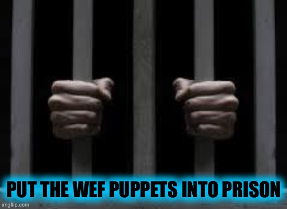 Jail | PUT THE WEF PUPPETS INTO PRISON | image tagged in jail | made w/ Imgflip meme maker