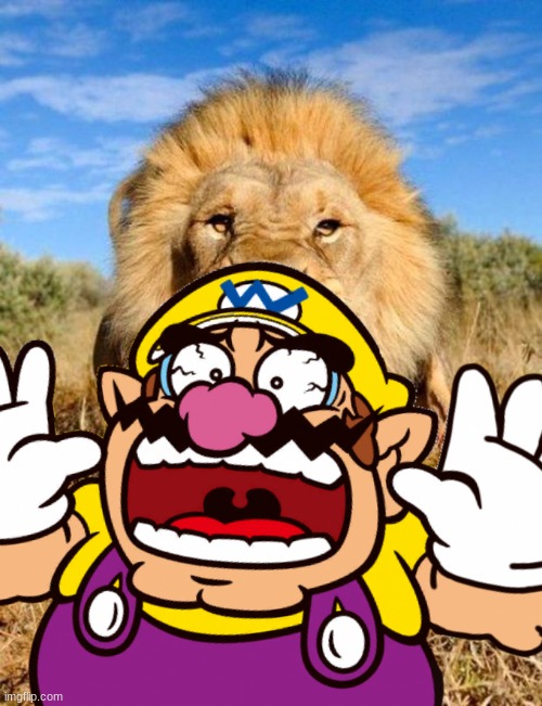 Wario dies in a Lion attack.mp3 | image tagged in wario dies,wario,lion,cats,animals,africa | made w/ Imgflip meme maker
