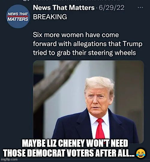 They got him now... honest... | MAYBE LIZ CHENEY WON'T NEED THOSE DEMOCRAT VOTERS AFTER ALL...😂 | image tagged in kangaroo,congress | made w/ Imgflip meme maker