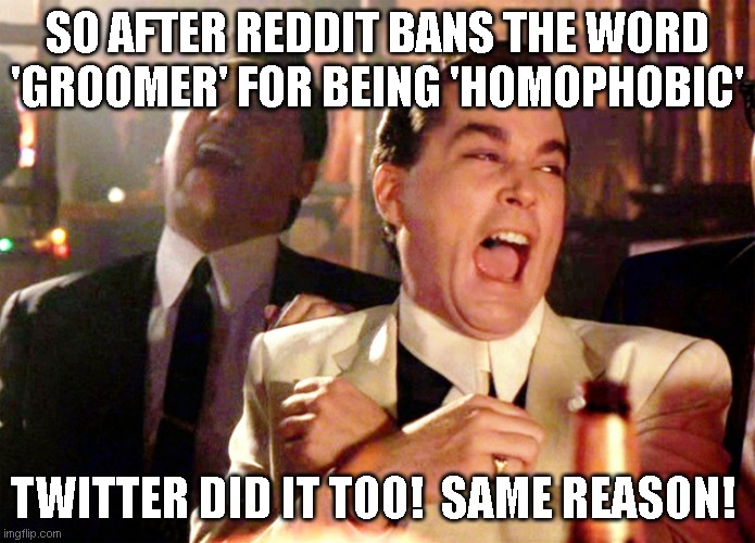 apparently that baptist minister shouting on the street in 1993 was correct... according to liberals! lol! | SO AFTER REDDIT BANS THE WORD 'GROOMER' FOR BEING 'HOMOPHOBIC'; TWITTER DID IT TOO!  SAME REASON! | image tagged in memes,good fellas hilarious | made w/ Imgflip meme maker