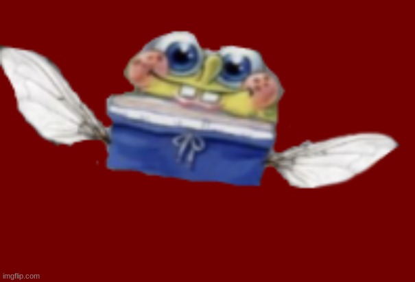 Spongefly | image tagged in spongefly | made w/ Imgflip meme maker