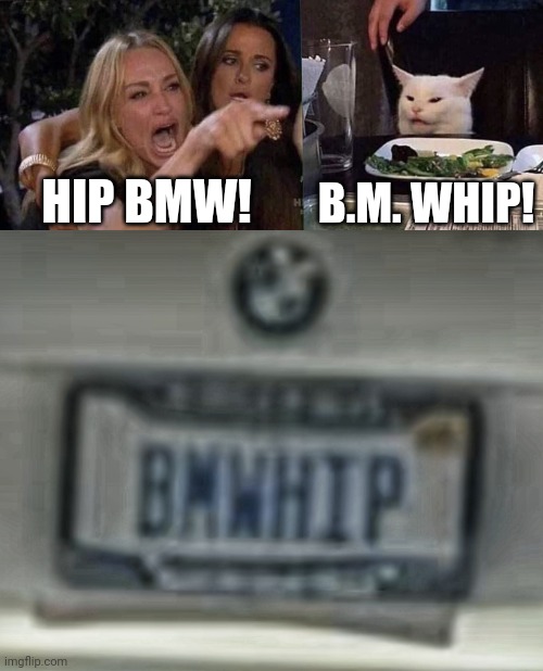Karen's BMW gets Whipped | HIP BMW! B.M. WHIP! | image tagged in woman yelling at cat | made w/ Imgflip meme maker