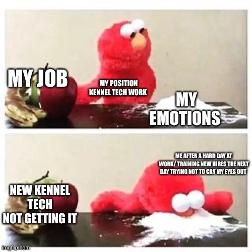 elmo cocaine | MY JOB; MY POSITION KENNEL TECH WORK; MY EMOTIONS; ME AFTER A HARD DAY AT WORK/ TRAINING NEW HIRES THE NEXT DAY TRYING NOT TO CRY MY EYES OUT; NEW KENNEL TECH NOT GETTING IT | image tagged in elmo cocaine | made w/ Imgflip meme maker