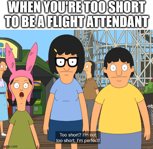 Perfect | WHEN YOU'RE TOO SHORT TO BE A FLIGHT ATTENDANT | image tagged in bobs burgers,louise belcher,short,short people,flight attendant | made w/ Imgflip meme maker
