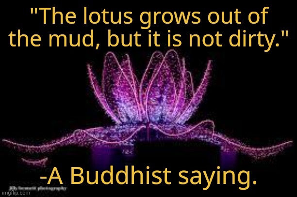 Who you are matters; where you come from doesn't. | "The lotus grows out of the mud, but it is not dirty."; -A Buddhist saying. | image tagged in lotusflower,self esteem,words of wisdom,philosophy | made w/ Imgflip meme maker