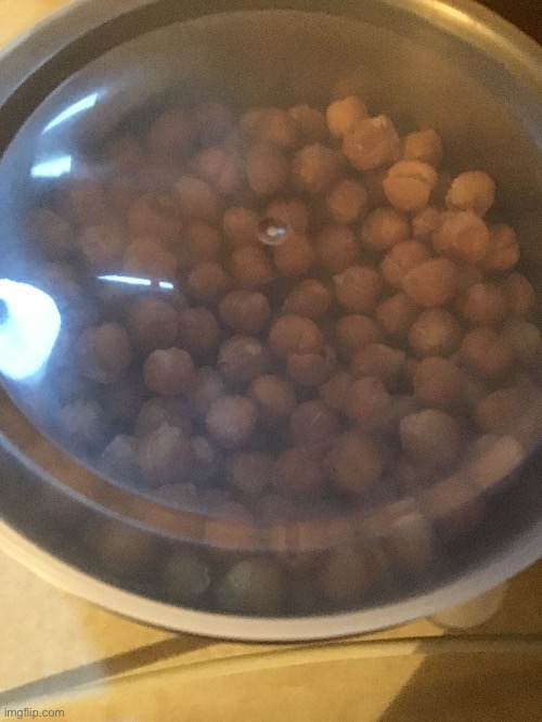 This shit looking like dog food. Is my mom a dog? | made w/ Imgflip meme maker