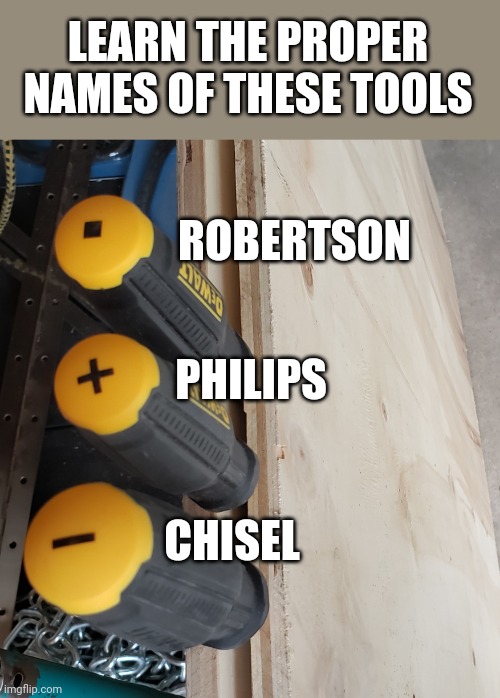 Proper tool names | LEARN THE PROPER NAMES OF THESE TOOLS; ROBERTSON; PHILIPS; CHISEL | image tagged in tool | made w/ Imgflip meme maker