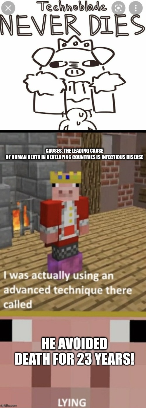 lol nundyo | CAUSES. THE LEADING CAUSE OF HUMAN DEATH IN DEVELOPING COUNTRIES IS INFECTIOUS DISEASE; HE AVOIDED DEATH FOR 23 YEARS! | image tagged in rip,rip headstone,technoblade,tech support,maury lie detector,can't argue with that / technically not wrong | made w/ Imgflip meme maker