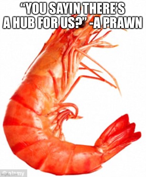 Inspiration Prawn | “YOU SAYIN THERE’S A HUB FOR US?” -A PRAWN | image tagged in inspiration prawn | made w/ Imgflip meme maker